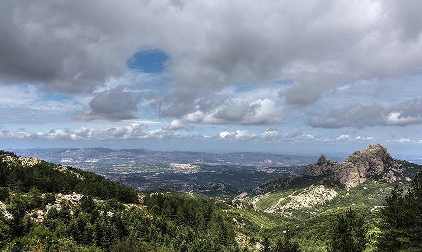 Arboreto Mediterraneo del Limbara, Italy, Italy